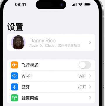 旬邑appleID维修服务iPhone设置中Apple ID显示为灰色无法使用 