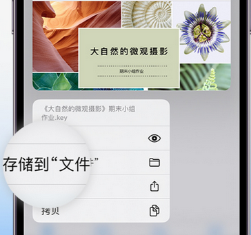 旬邑apple维修中心分享iPhone文件应用中存储和找到下载文件