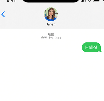 旬邑apple维修iPhone上无法正常发送iMessage信息