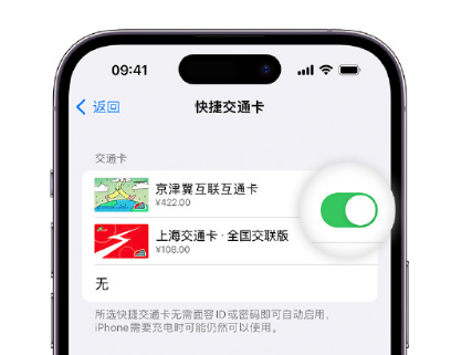 旬邑apple维修点分享iPhone上更换Apple Pay快捷交通卡手绘卡面 