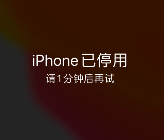 旬邑苹果手机维修分享:iPhone 显示“不可用”或“已停用”怎么办？还能保留数据吗？ 