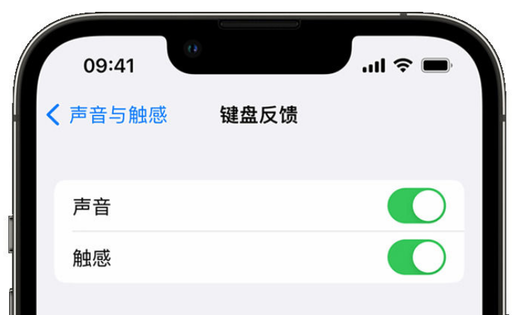 旬邑苹果手机维修分享iPhone 14触感键盘使用方法 