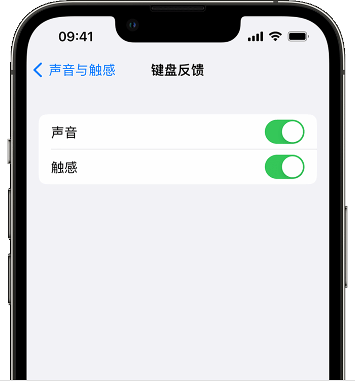 旬邑苹果14维修店分享如何在 iPhone 14 机型中使用触感键盘 