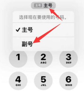 旬邑苹果14维修店分享iPhone 14 Pro Max使用副卡打电话的方法 