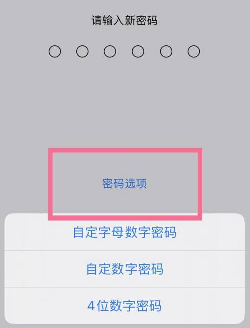 旬邑苹果14维修分享iPhone 14plus设置密码的方法 