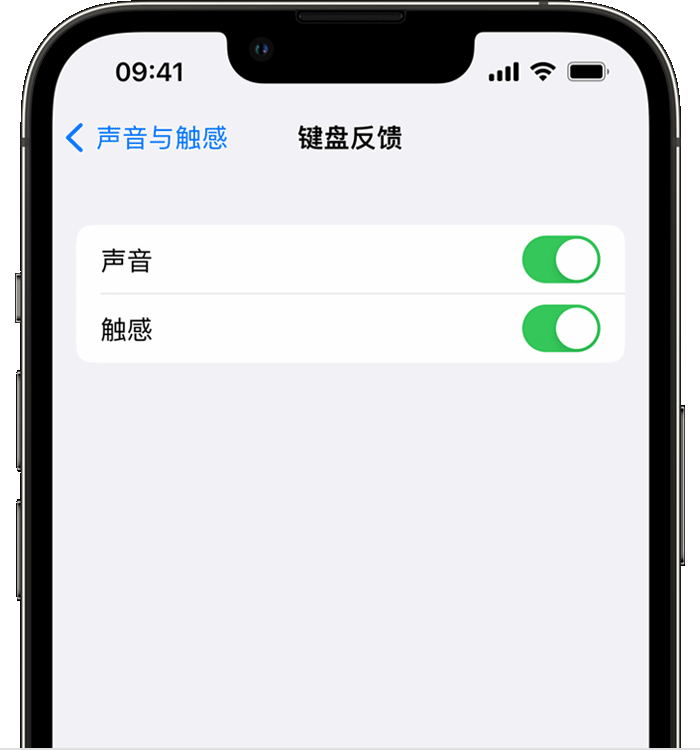 旬邑苹果14维修分享iPhone 14 系列机型如何开启键盘声音或触感反馈 