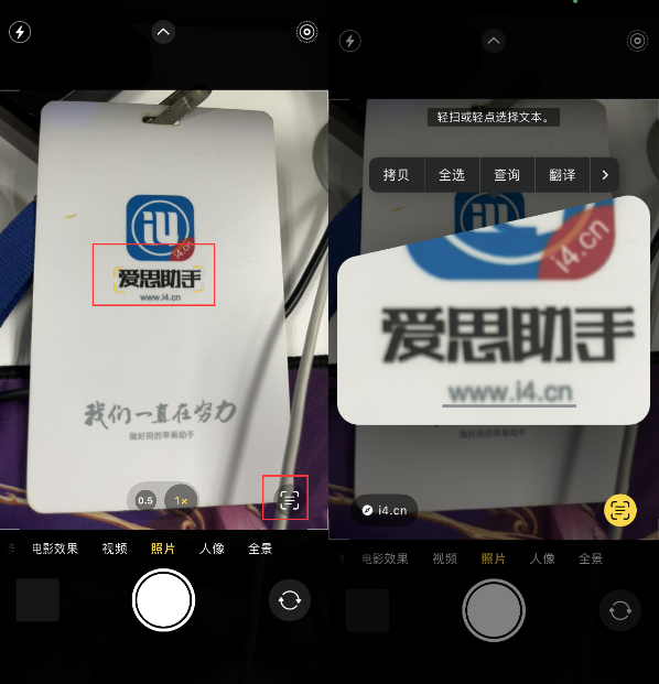 旬邑苹果手机维修分享升级iOS 16后如何通过相机翻译文本 