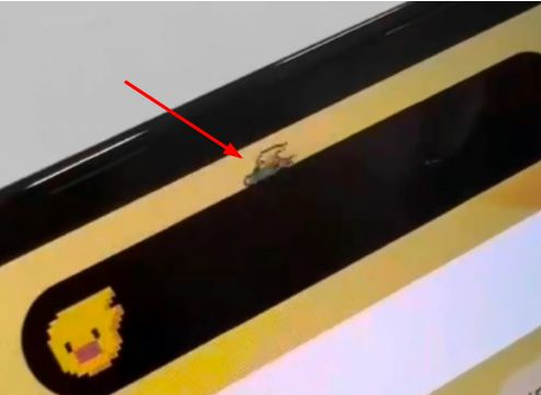 旬邑苹果14维修分享iPhone 14 Pro Max灵动岛怎么养宠物 