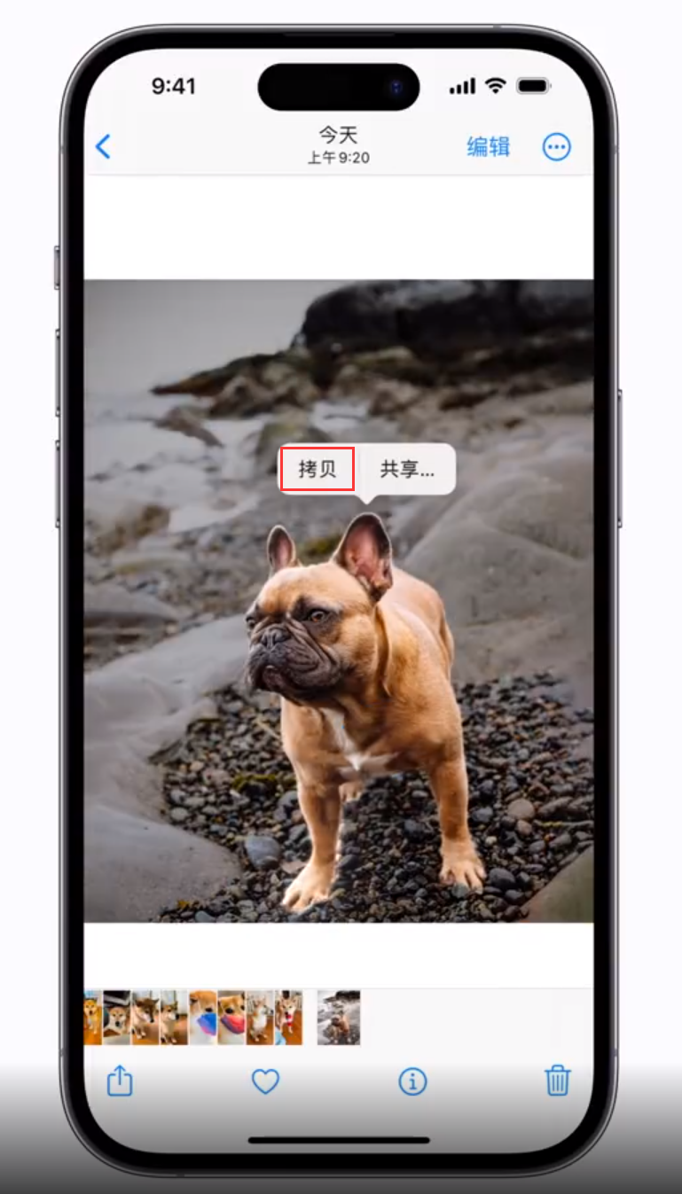 旬邑苹果手机维修分享 iOS 16 自带一键抠图功能 