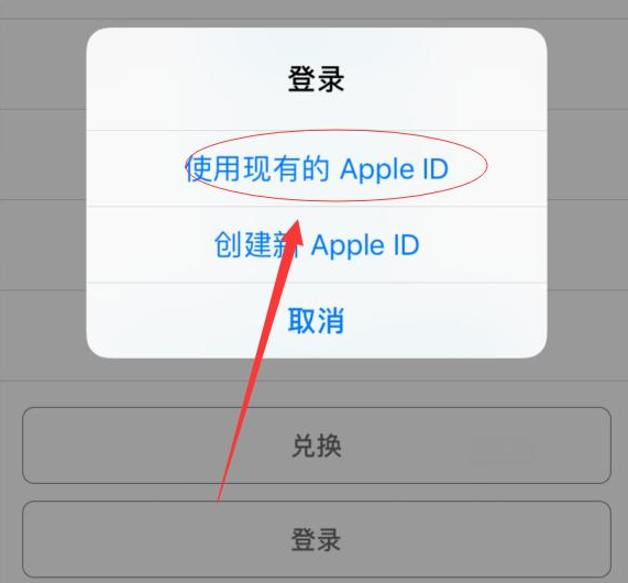 旬邑苹果手机维修分享两台iPhone设备可以同时登录一个Apple ID吗 