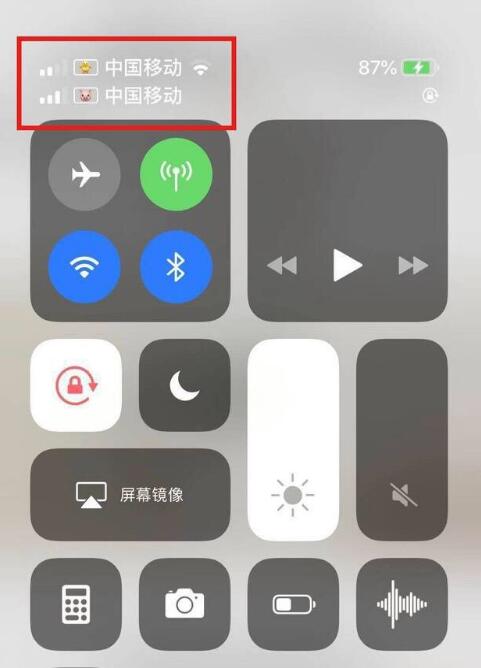 旬邑苹果手机维修分享为 iPhone 12 双卡设置标签 
